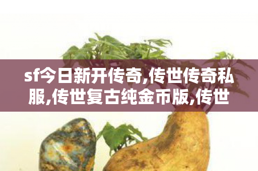 sf今日新开传奇,传世传奇私服,传世复古纯金币版,传世传奇私服