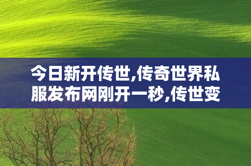 今日新开传世,传奇世界私服发布网刚开一秒,传世变态私服,传奇世界私服发布网刚开一秒