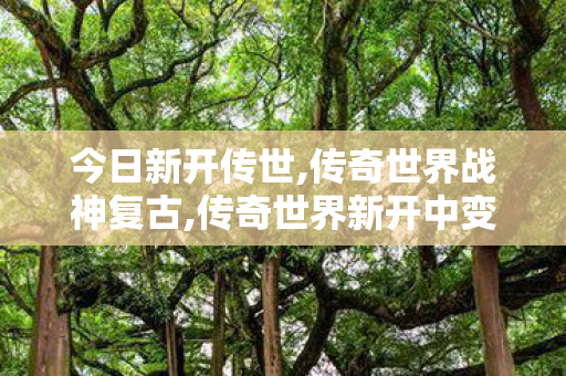 今日新开传世,传奇世界战神复古,传奇世界新开中变sf,传奇世界战神复古
