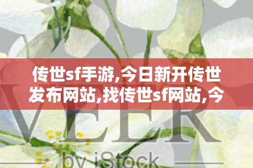 传世sf手游,今日新开传世发布网站,找传世sf网站,今日新开传世发布网站