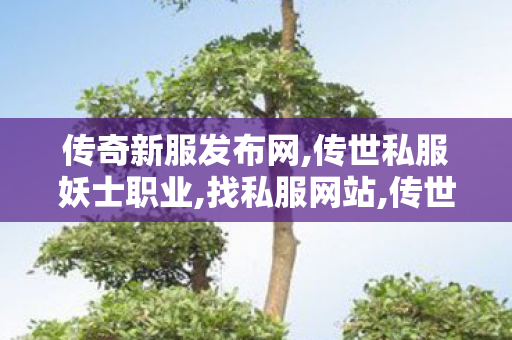传奇新服发布网,传世私服妖士职业,找私服网站,传世私服妖士职业