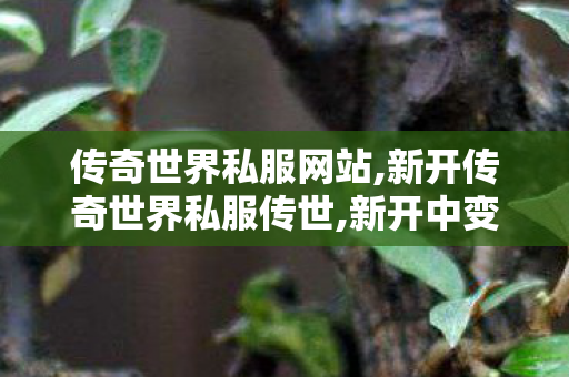 传奇世界私服网站,新开传奇世界私服传世,新开中变sf网站,新开传奇世界私服传世