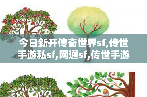 今日新开传奇世界sf,传世手游私sf,网通sf,传世手游私sf