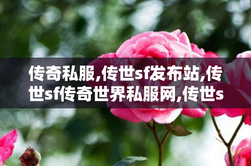 传奇私服,传世sf发布站,传世sf传奇世界私服网,传世sf发布站