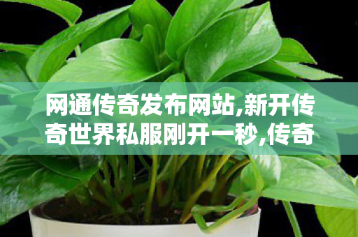 网通传奇发布网站,新开传奇世界私服刚开一秒,传奇世界私服发布网刚开一秒,新开传奇世界私服刚开一秒