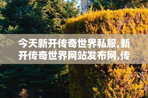 今天新开传奇世界私服,新开传奇世界网站发布网,传奇世界私服发布网,新开传奇世界网站发布网