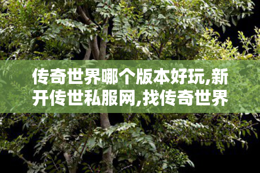 传奇世界哪个版本好玩,新开传世私服网,找传奇世界sf发布网,新开传世私服网