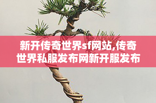 新开传奇世界sf网站,传奇世界私服发布网新开服发布吧,传世私新开服网站,传奇世界私服发布网新开服发布吧
