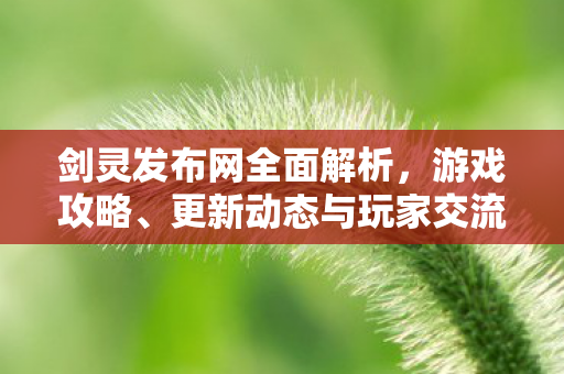 剑灵发布网全面解析，游戏攻略、更新动态与玩家交流平台