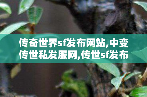 传奇世界sf发布网站,中变传世私发服网,传世sf发布站,中变传世私发服网