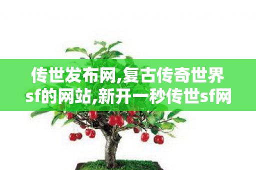 传世发布网,复古传奇世界sf的网站,新开一秒传世sf网站,复古传奇世界sf的网站
