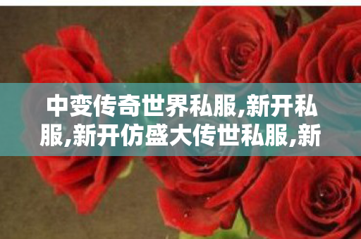中变传奇世界私服,新开私服,新开仿盛大传世私服,新开私服