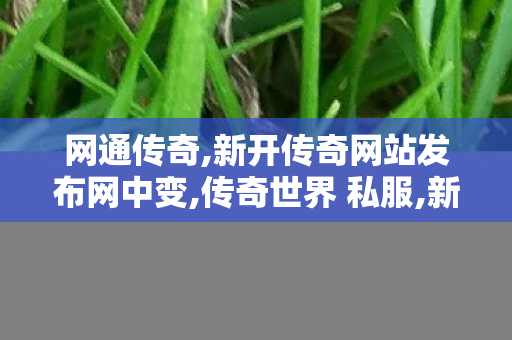 网通传奇,新开传奇网站发布网中变,传奇世界 私服,新开传奇网站发布网中变