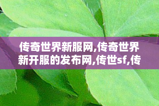 传奇世界新服网,传奇世界新开服的发布网,传世sf,传奇世界新开服的发布网
