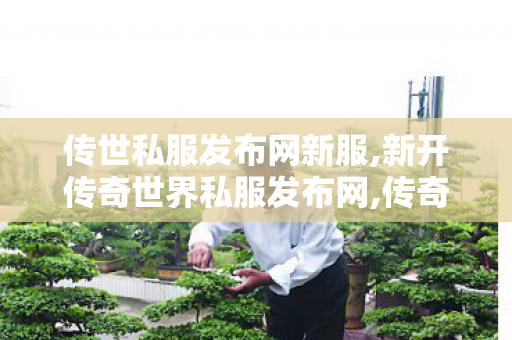 传世私服发布网新服,新开传奇世界私服发布网,传奇世界sf,新开传奇世界私服发布网