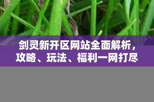 剑灵新开区网站全面解析，攻略、玩法、福利一网打尽