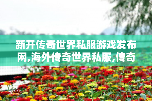 新开传奇世界私服游戏发布网,海外传奇世界私服,传奇世界私服,传世私服网,海外传奇世界私服