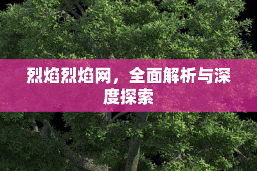 烈焰烈焰网，全面解析与深度探索