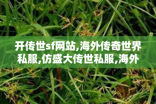 开传世sf网站,海外传奇世界私服,仿盛大传世私服,海外传奇世界私服