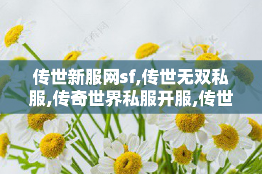 传世新服网sf,传世无双私服,传奇世界私服开服,传世无双私服