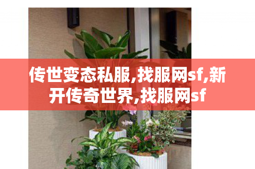 传世变态私服,找服网sf,新开传奇世界,找服网sf