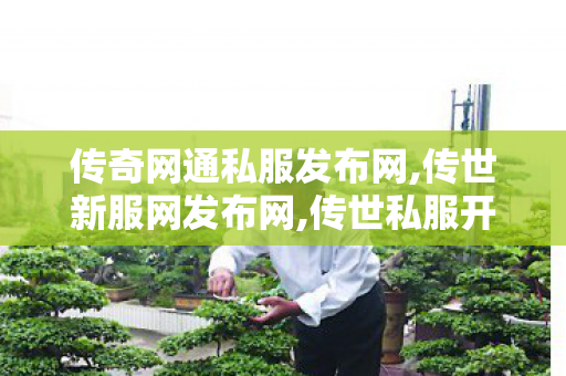 传奇网通私服发布网,传世新服网发布网,传世私服开服教程,传世新服网发布网