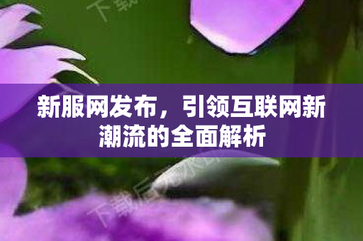新服网发布，引领互联网新潮流的全面解析