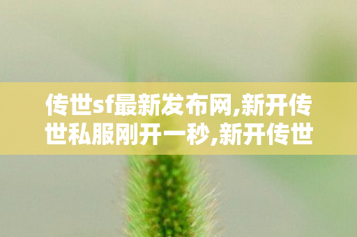 传世sf最新发布网,新开传世私服刚开一秒,新开传世,新开传世私服刚开一秒