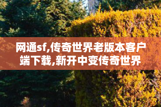 网通sf,传奇世界老版本客户端下载,新开中变传奇世界sf,传奇世界老版本客户端下载
