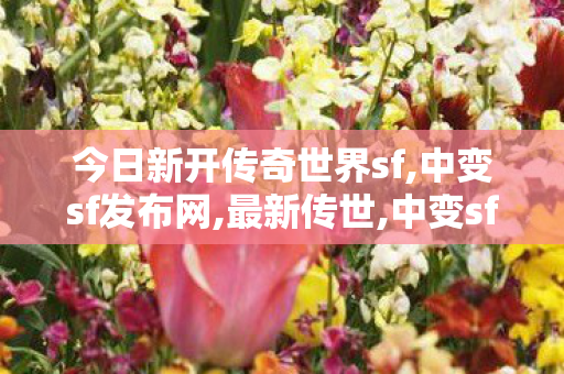今日新开传奇世界sf,中变sf发布网,最新传世,中变sf发布网