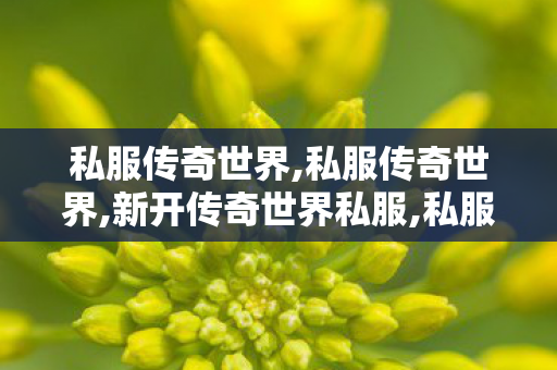 私服传奇世界,私服传奇世界,新开传奇世界私服,私服传奇世界