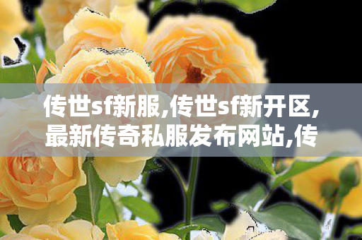 传世sf新服,传世sf新开区,最新传奇私服发布网站,传世sf新开区