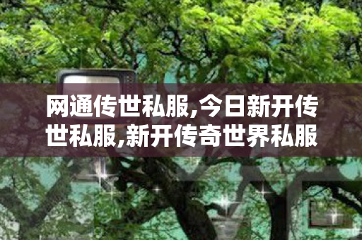 网通传世私服,今日新开传世私服,新开传奇世界私服发布网站,今日新开传世私服