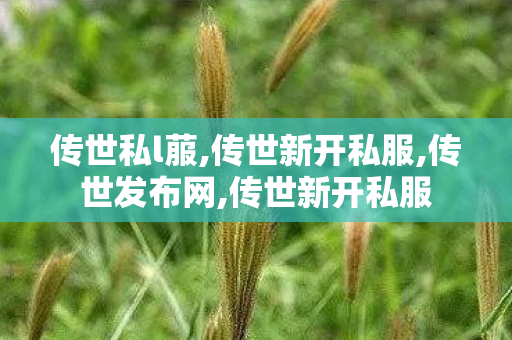 传世私l菔,传世新开私服,传世发布网,传世新开私服