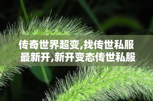 传奇世界超变,找传世私服 最新开,新开变态传世私服网,找传世私服 最新开
