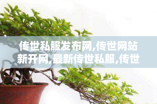 传世私服发布网,传世网站新开网,最新传世私服,传世网站新开网