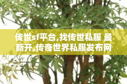 传世sf平台,找传世私服 最新开,传奇世界私服发布网刚开一秒,找传世私服 最新开
