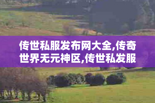 传世私服发布网大全,传奇世界无元神区,传世私发服网,传奇世界无元神区