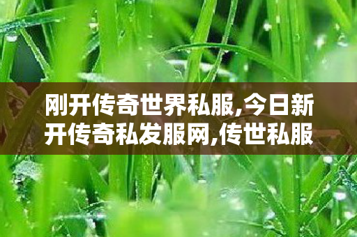 刚开传奇世界私服,今日新开传奇私发服网,传世私服怀旧,今日新开传奇私发服网