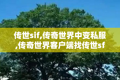 传世sif,传奇世界中变私服,传奇世界客户端	找传世sf,传奇世界中变私服