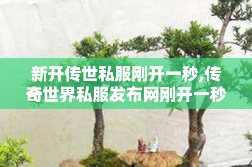 新开传世私服刚开一秒,传奇世界私服发布网刚开一秒,传世私l菔,传奇世界私服发布网刚开一秒