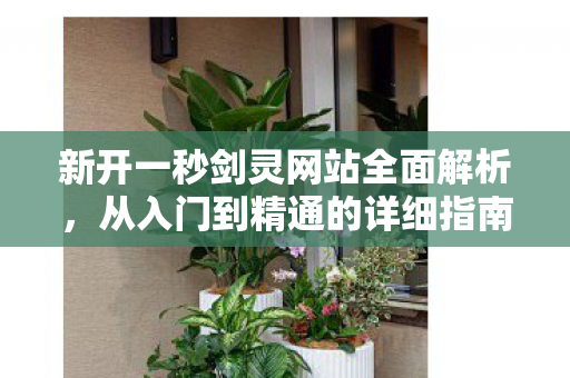 新开一秒剑灵网站全面解析，从入门到精通的详细指南