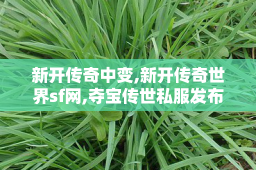 新开传奇中变,新开传奇世界sf网,夺宝传世私服发布网,新开传奇世界sf网