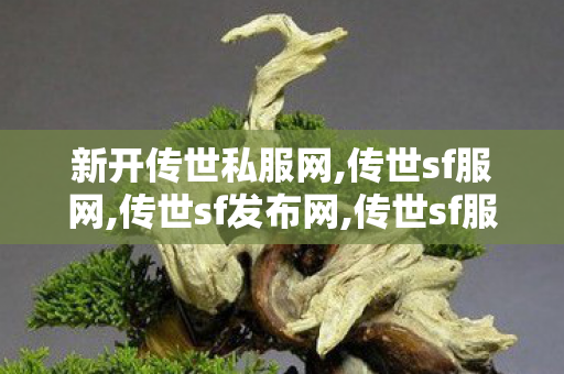 新开传世私服网,传世sf服网,传世sf发布网,传世sf服网