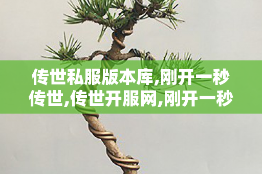 传世私服版本库,刚开一秒传世,传世开服网,刚开一秒传世