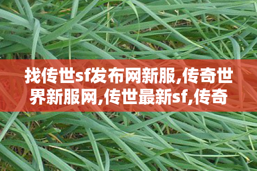 找传世sf发布网新服,传奇世界新服网,传世最新sf,传奇世界新服网