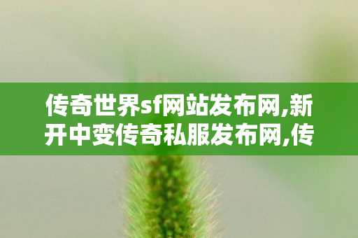 传奇世界sf网站发布网,新开中变传奇私服发布网,传世最新sf,新开中变传奇私服发布网