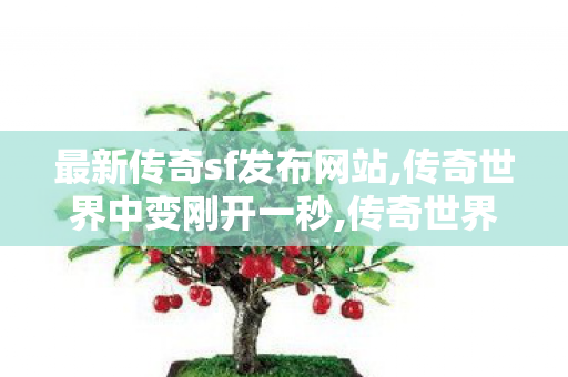 最新传奇sf发布网站,传奇世界中变刚开一秒,传奇世界网页版官网,传奇世界中变刚开一秒