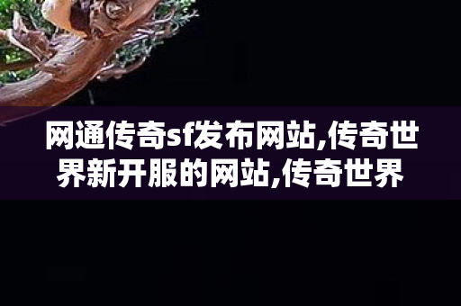网通传奇sf发布网站,传奇世界新开服的网站,传奇世界sf发布网站,传奇世界新开服的网站