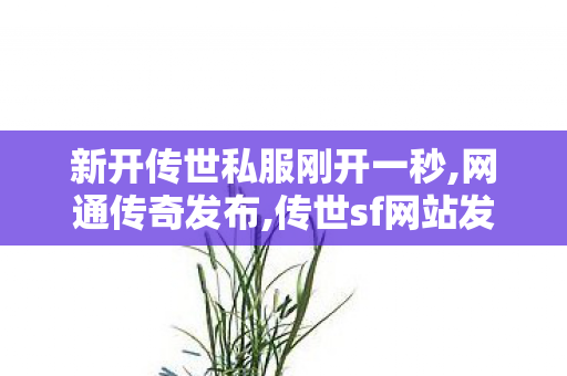 新开传世私服刚开一秒,网通传奇发布,传世sf网站发布网,网通传奇发布